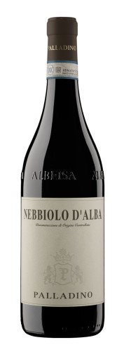 nebiolo d'alba.jpg