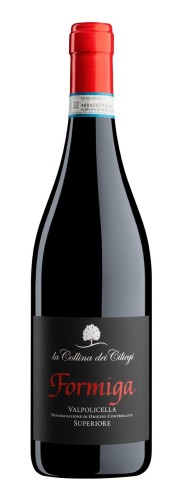 la colina formiga.jpg