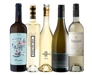 Zestaw Sauvignon Blanc